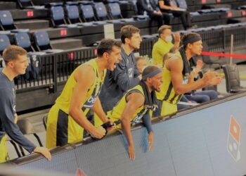 Anadolu Efes 71-80 Fenerbahçe Beko – Igor Kokoskov Farkı