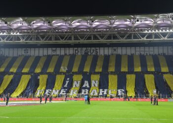 Fenerbahçe 3-1 N.D. Gençlerbirliği