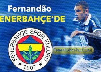 Fernandao, Fenerbahçe’de